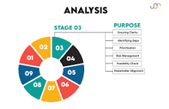Business analyst